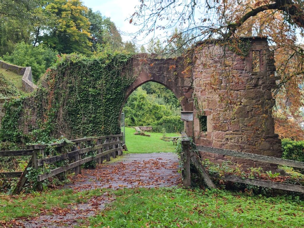 Minneburg: A Ruined Hilltop Castle in Germany 4 Minneburg