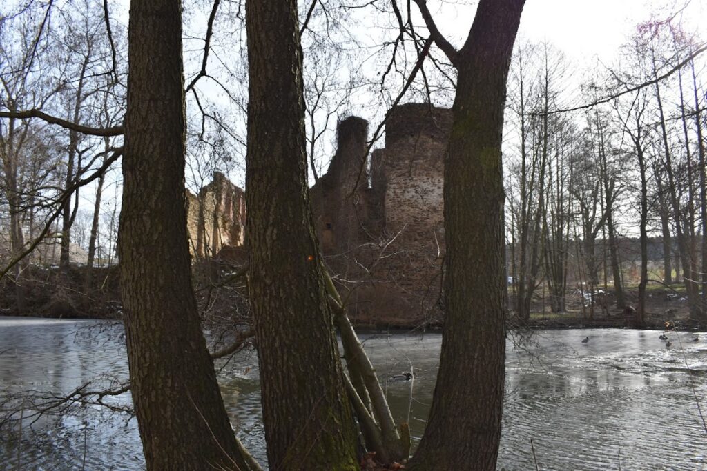 Wasserburg Mechelgrün: A Medieval Lowland Castle in Germany 4 Wasserburg Mechelgrün