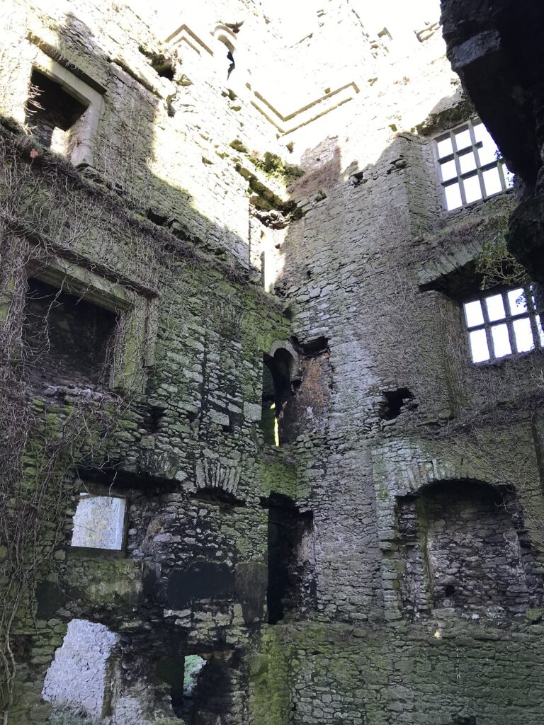 Loughmoe Castle: Ancestral Castle of the Purcell Barons 2 Loughmoe Castle
