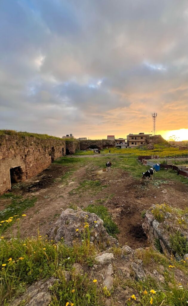 Coliath: A Crusader Fortress in Lebanon 2 Coliath