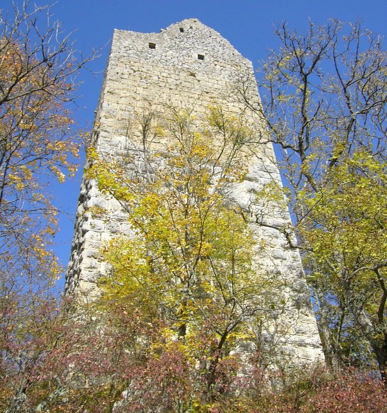 Burg Kallenberg: A High-Medieval Castle Ruin in Germany