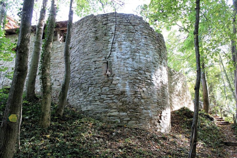 Burgruine Hofberg: A Medieval Hill Castle in Bavaria