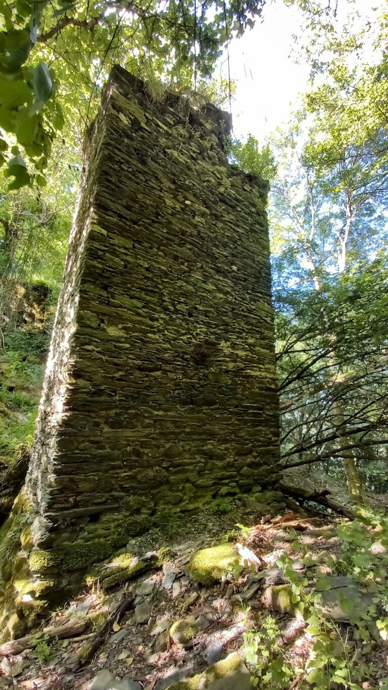 Burg Rheinberg: A Medieval Spur Castle in Germany