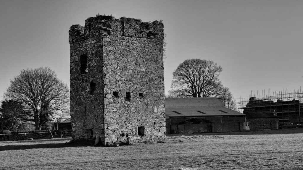 Jigginstown Castle: Strafford’s Planned Royal Residence in Ireland 1 Jigginstown Castle