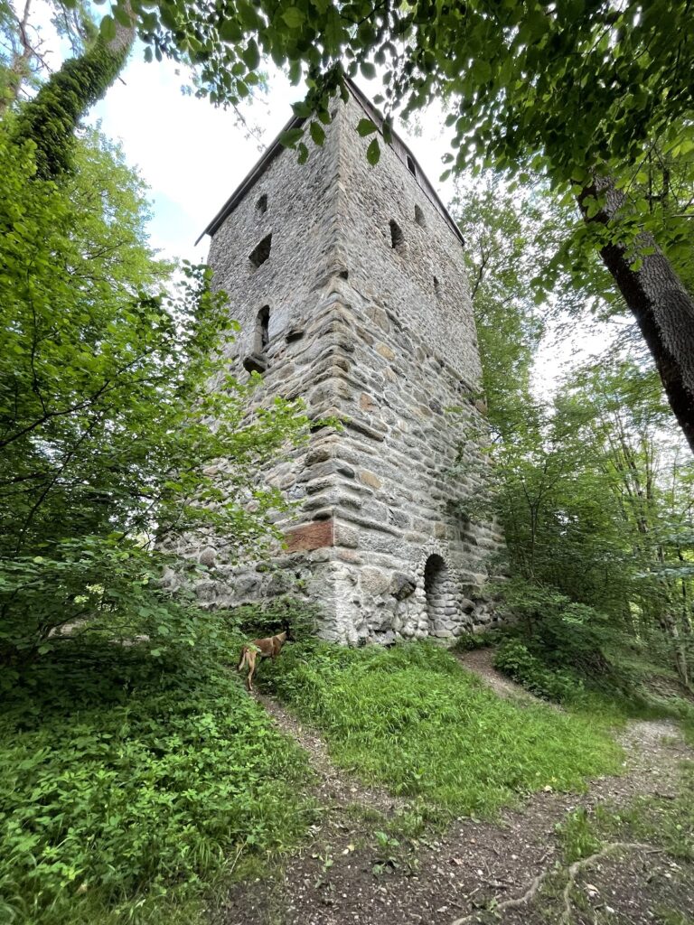 Burgruine Praßberg: A Medieval Hilltop Castle in Germany
