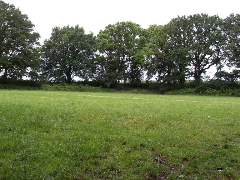 Margarethenschanze: A Medieval Fortification in Germany