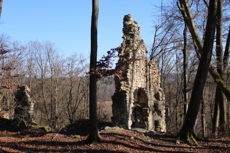 Helfenberg Castle Ruins: A Medieval Castle and Baroque Palace in Germany