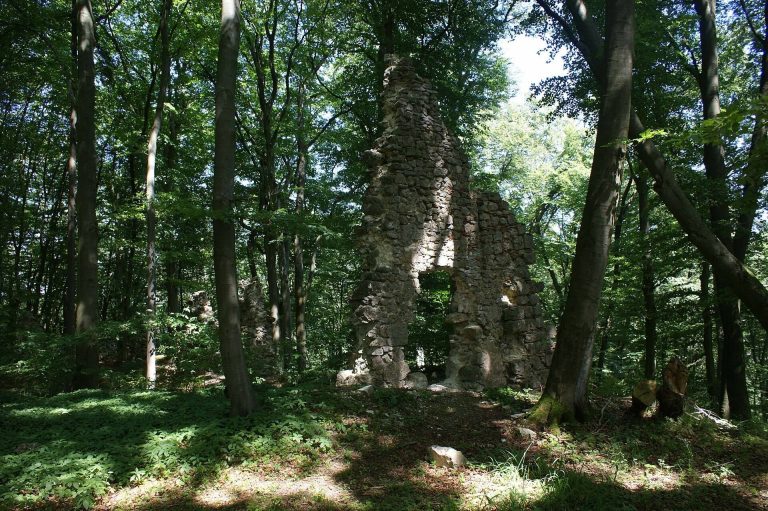 Helfenberg Castle Ruins: A Medieval Castle and Baroque Palace in Germany