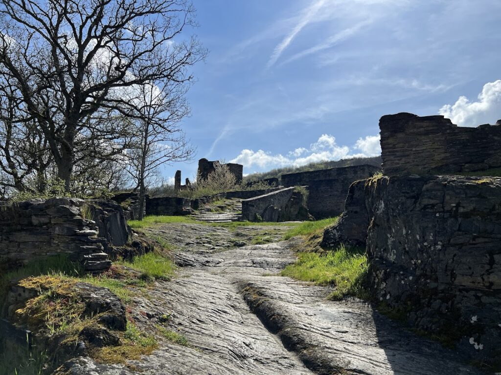 Schmidtburg: A Medieval Hill Castle and Administrative Seat 4 Schmidtburg