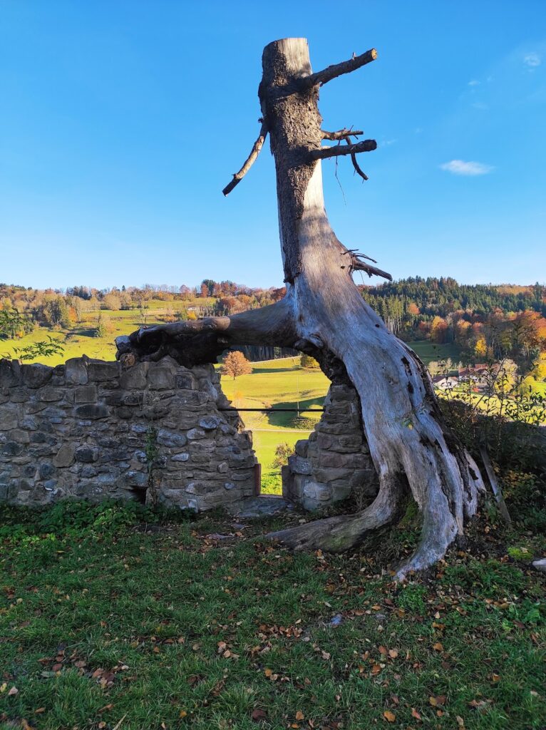 Burg Sulzberg: A Medieval Hilltop Castle Ruin in Germany 4 Burg Sulzberg