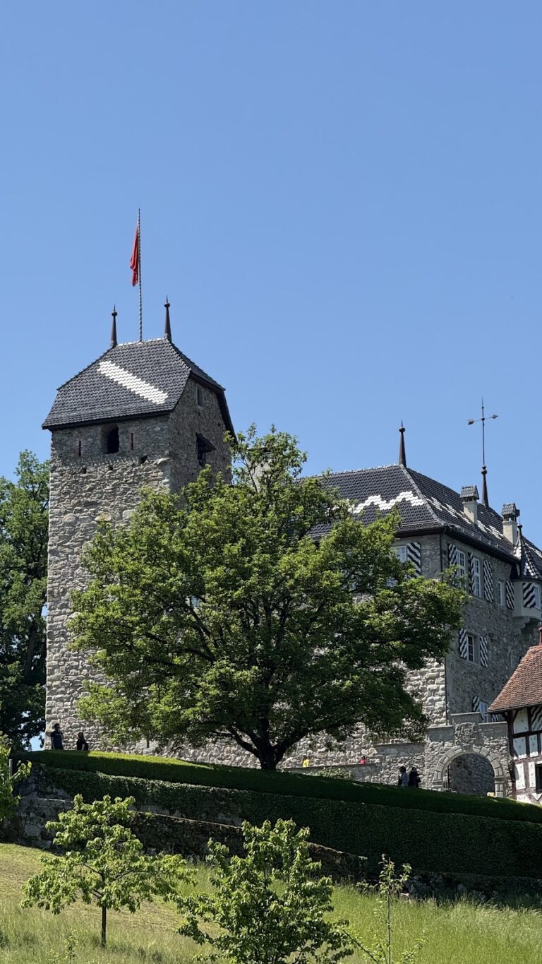 Castle Buonas: A Historic Castle Complex on Lake Zug