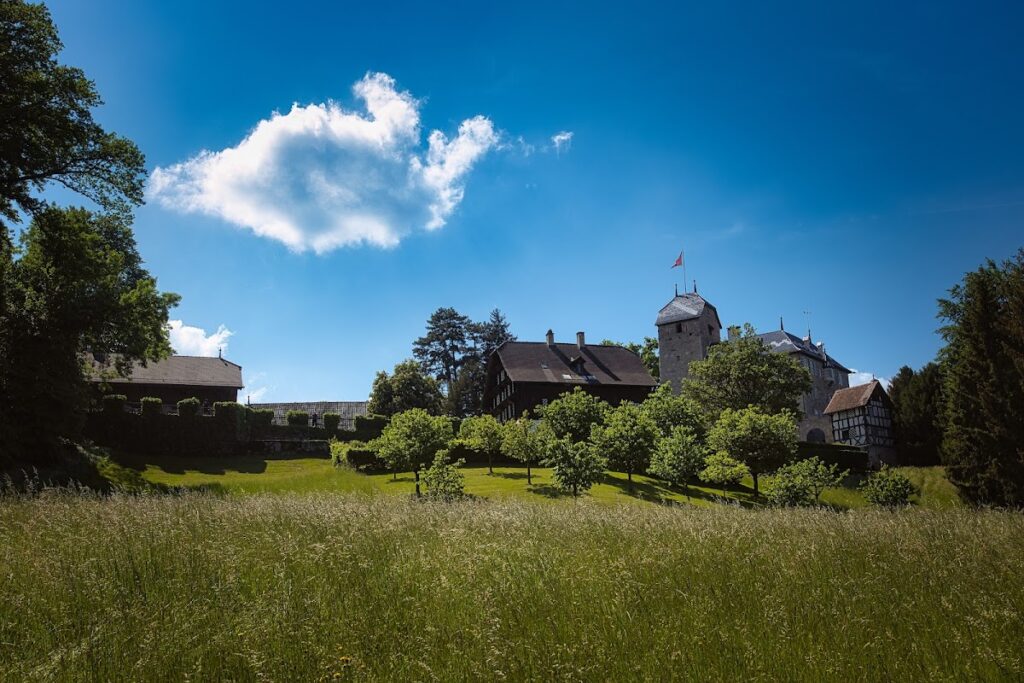 Castle Buonas: A Historic Castle Complex on Lake Zug 2 Castle Buonas (castle complex with outbuildings and park)