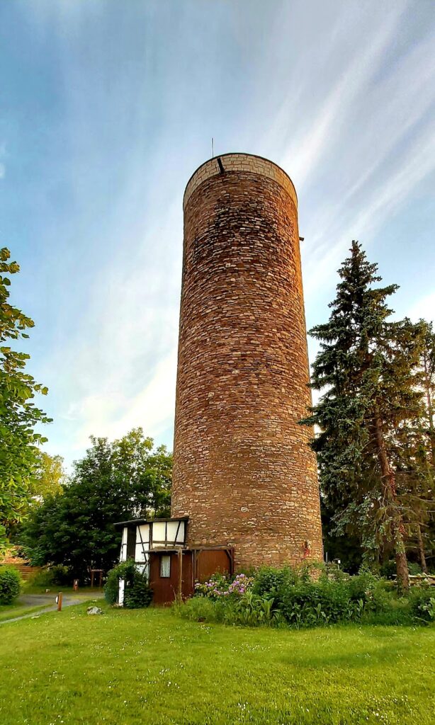 Burgruine Vienenburg: A Noble Hilltop Castle in Germany 1 Burgruine Vienenburg