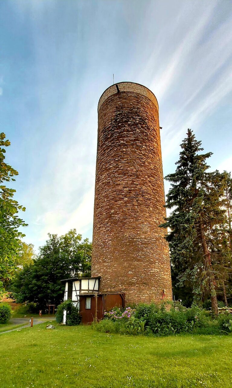 Burgruine Vienenburg: A Noble Hilltop Castle in Germany