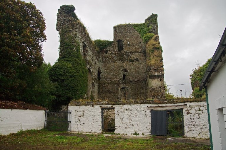 Coonagh Castle: A Medieval Hiberno-Norman Manor in Ireland