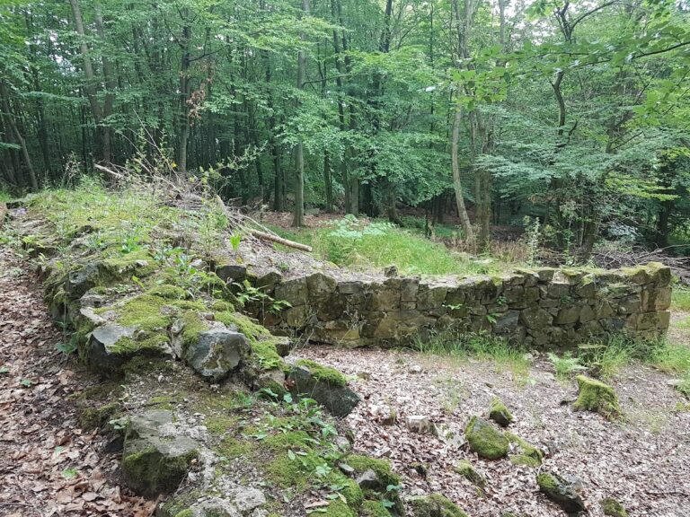 Hardeck Castle Ruins: A Medieval Hill Castle in Germany