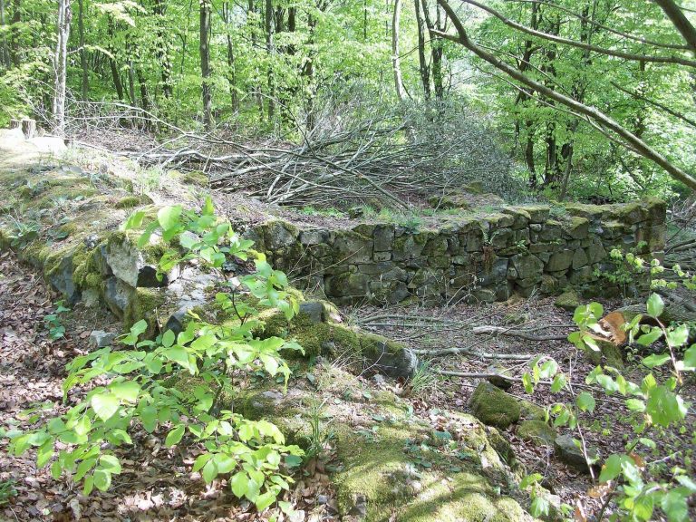Hardeck Castle Ruins: A Medieval Hill Castle in Germany