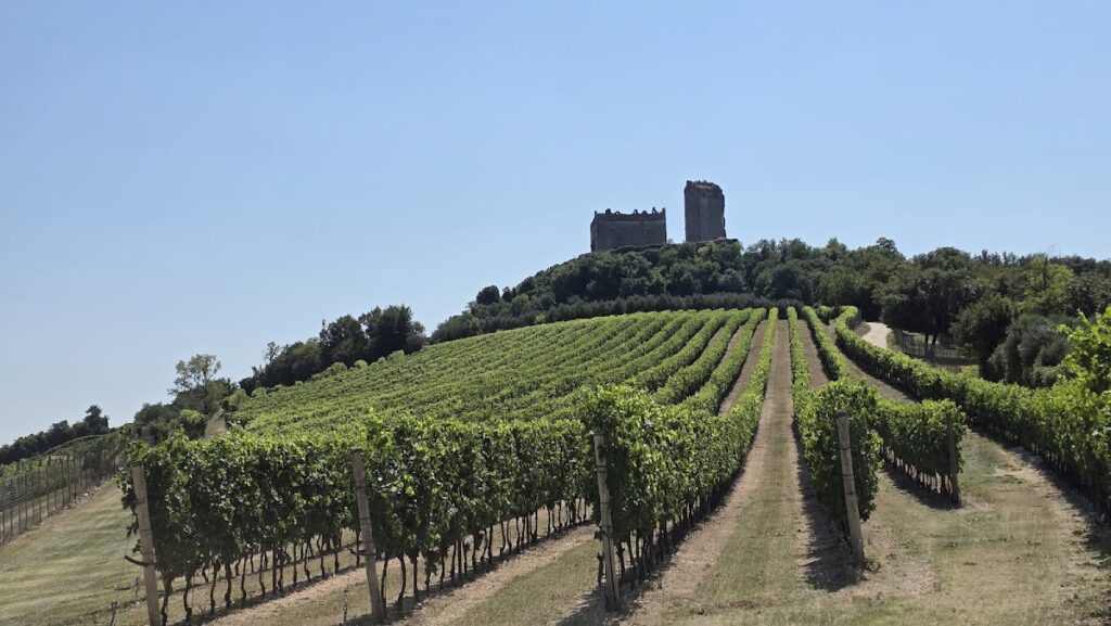 Castello di Illasi: A Medieval Defensive Castle in Italy 2 Castello di Illasi