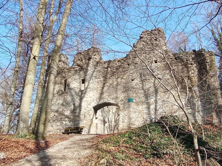 Burgruine Steinhart: A Medieval Castle Ruin in Germany