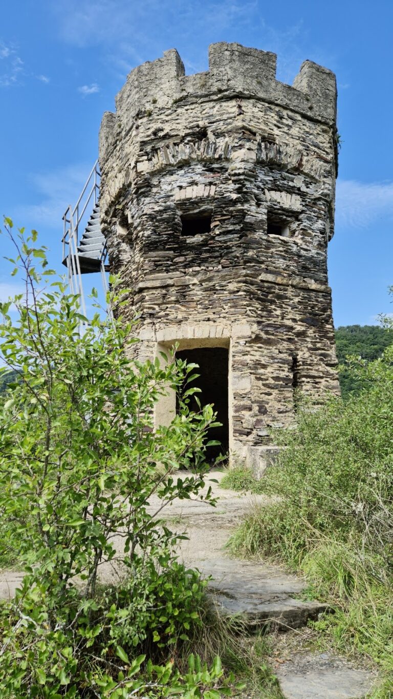 Entersburg: A High-Medieval Spur Castle in Germany