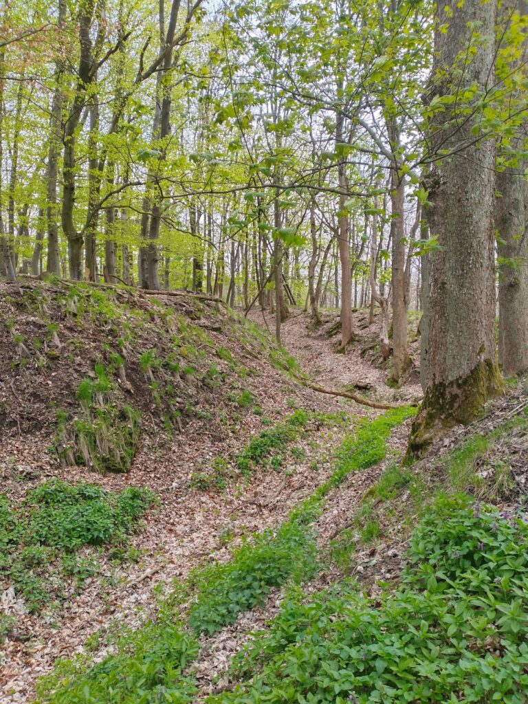 Ruchomperk: A Transitional Hill Castle in Czechia