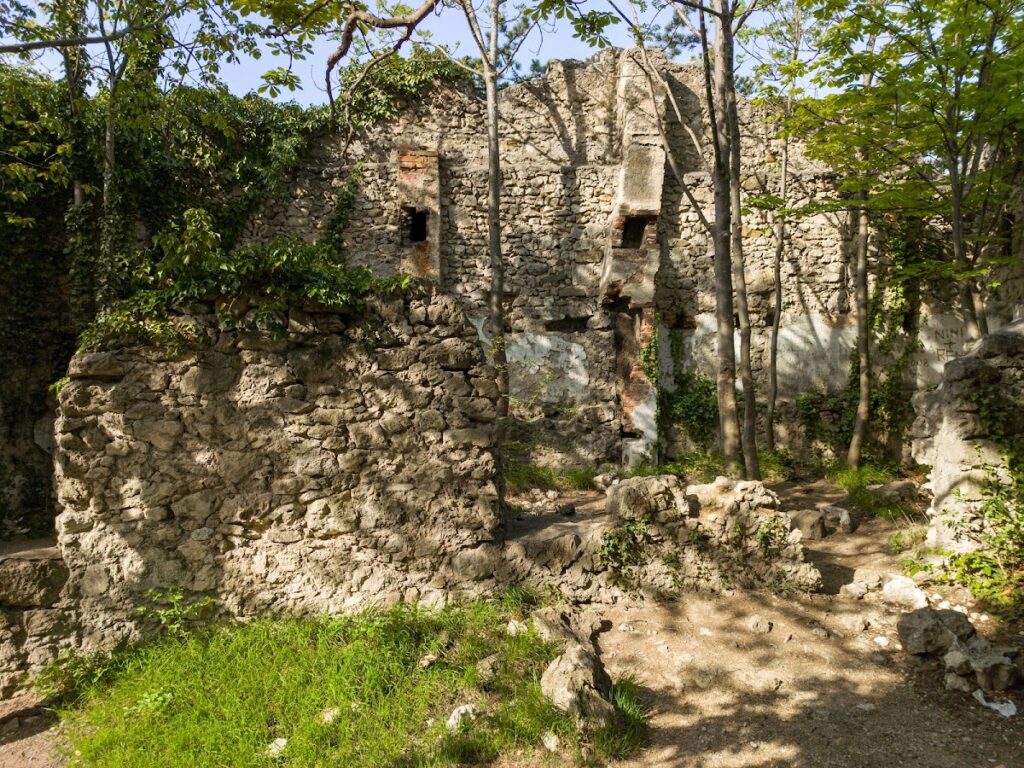 Castle ruins of Rauheneck