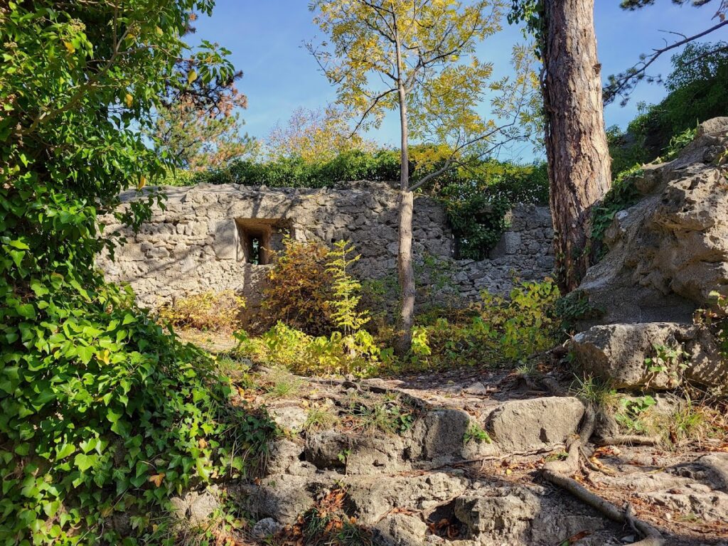 Castle ruins of Rauheneck