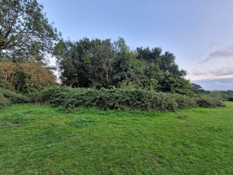 Twmpath Motte: A Medieval Norman Defensive Castle in Wales
