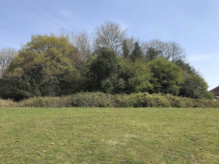 Twmpath Motte: A Medieval Norman Defensive Castle in Wales