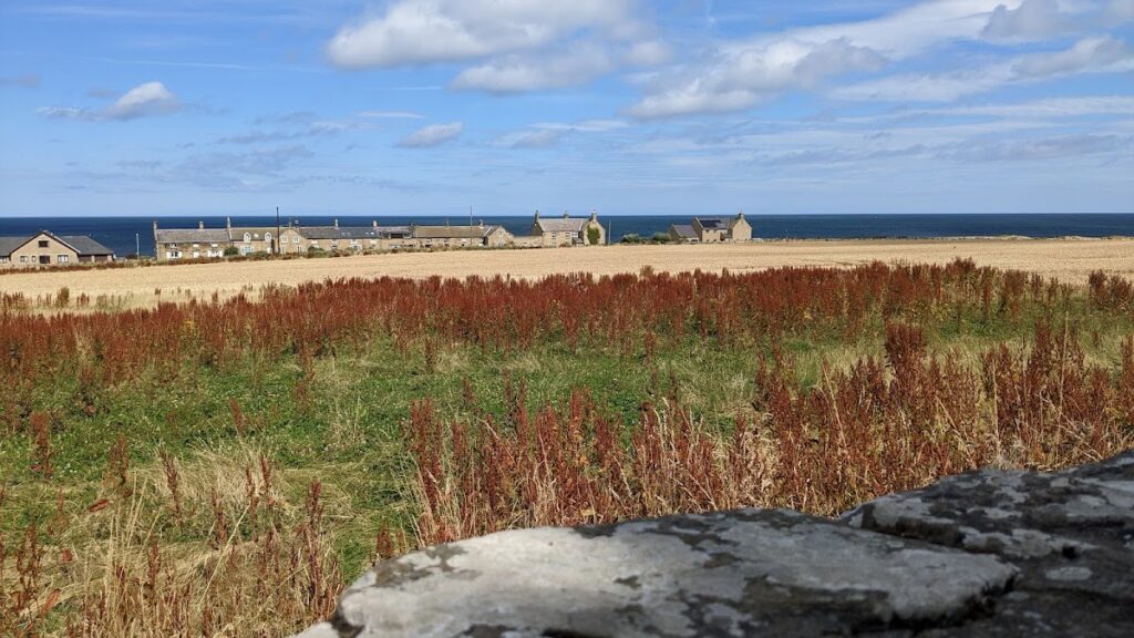 Cresswell Castle: A Medieval Pele Tower in Northumberland 4 Cresswell Castle