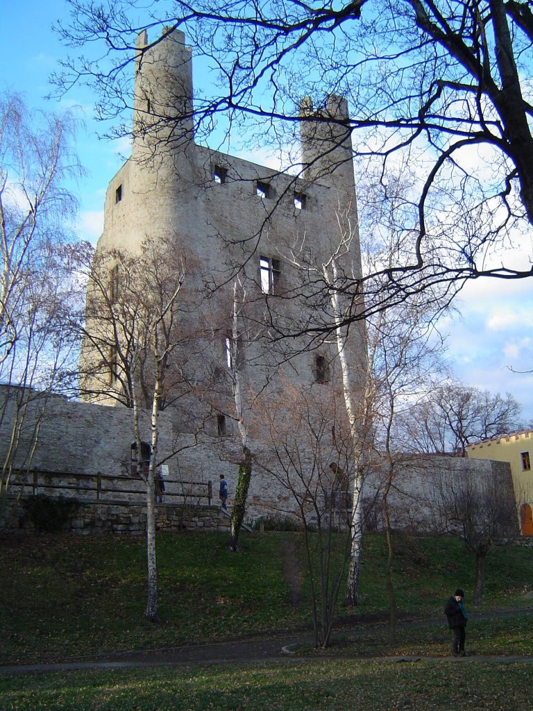 Hoher Schwarm Castle Ruins: A Medieval Residence above the Saale