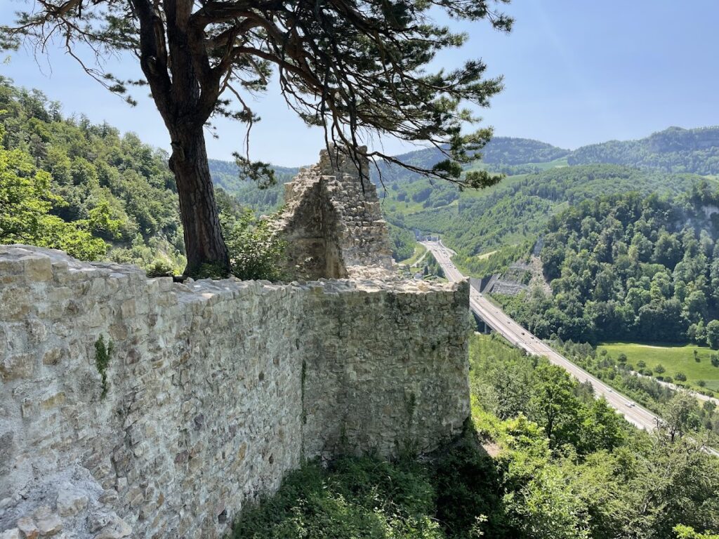 Witwald Castle: A Medieval Hill Castle in Switzerland 2 Witwald Castle