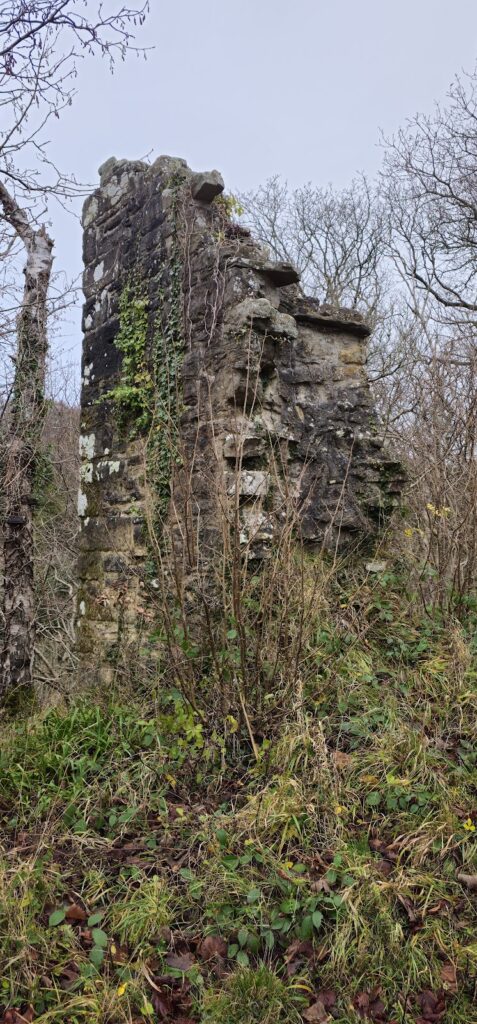 Staward Peel: A Medieval Fortified Site in Northumberland 2 Staward Peel
