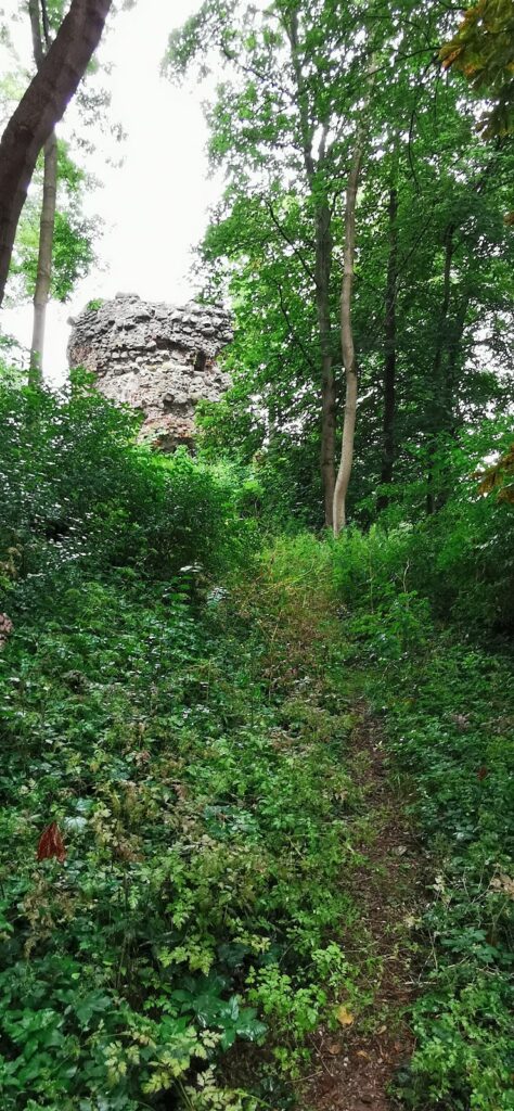 Burgruine Wasdow: A Medieval Lowland Castle Ruin in Germany 2 Burgruine Wasdow