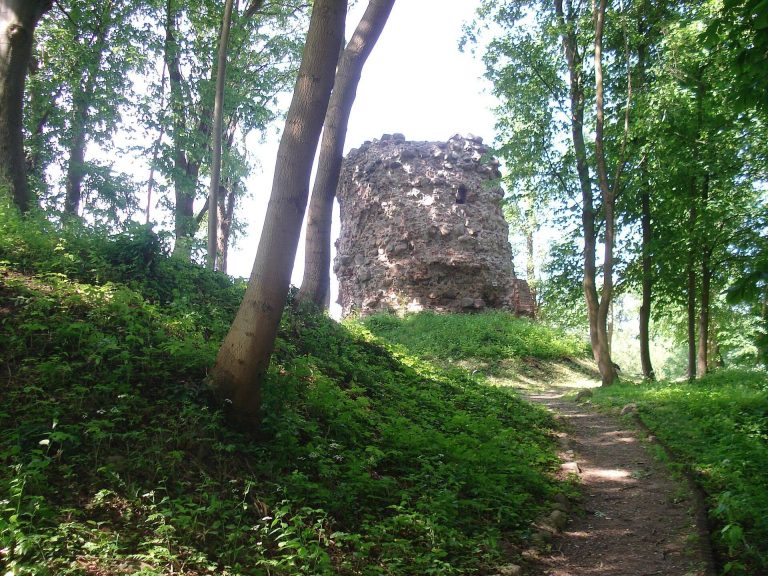 Burgruine Wasdow: A Medieval Lowland Castle Ruin in Germany