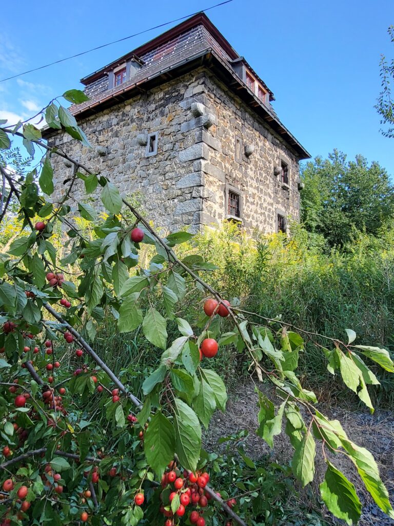 Wohnturm Groß Rackwitz