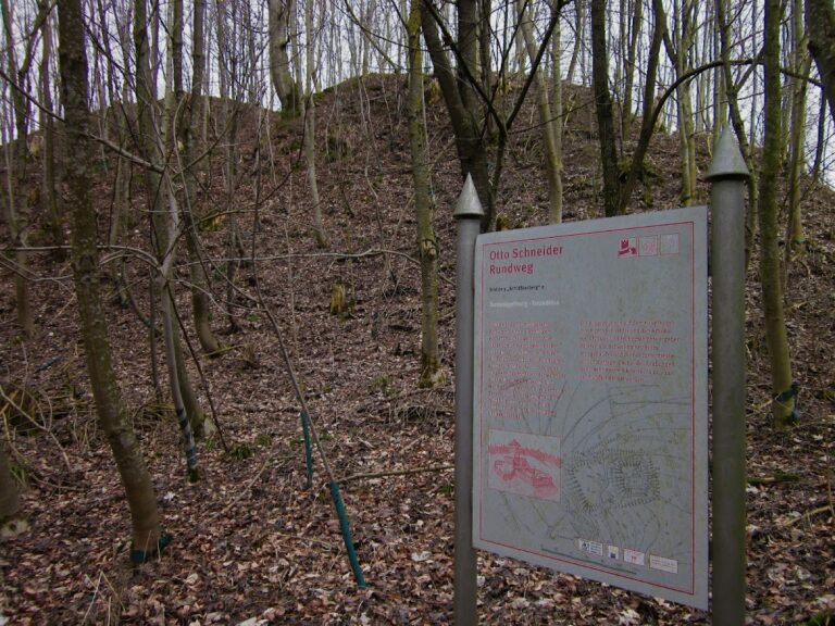 Burgstall Schlösslesberg: A High-Medieval Motte Castle Site in Germany