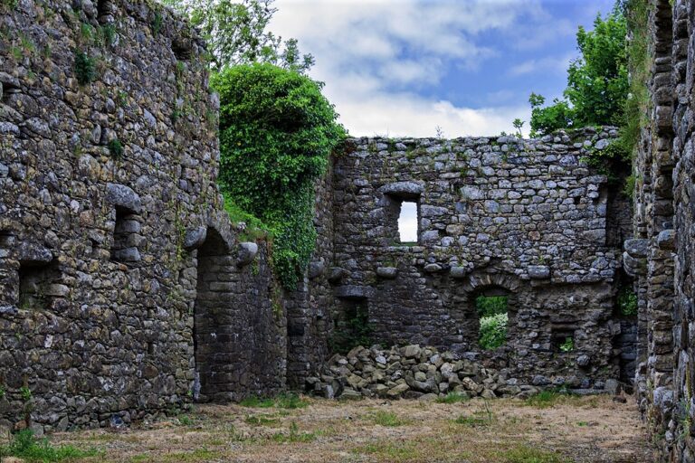 Rathumney Castle: A Medieval Hall House and Cistercian Grange