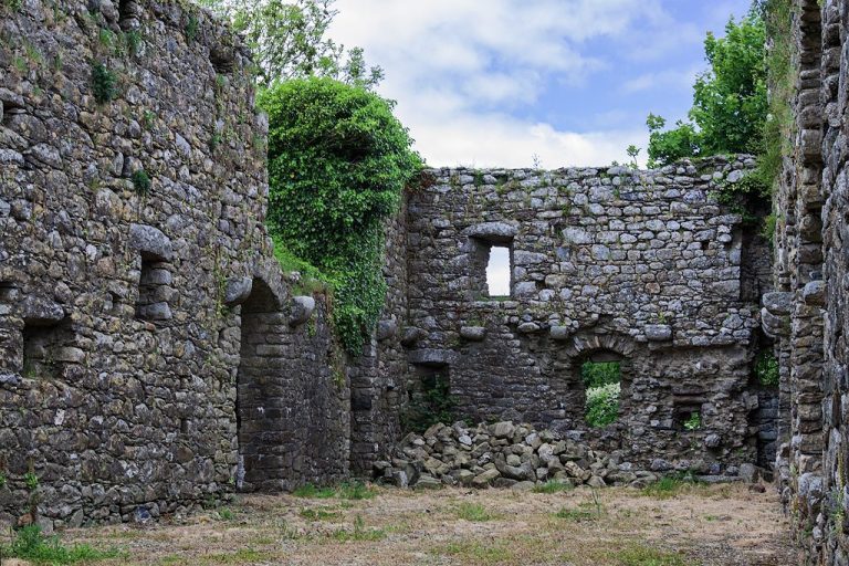 Rathumney Castle: A Medieval Hall House and Cistercian Grange
