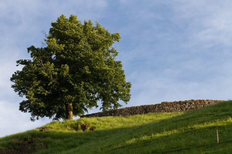 Rotzberg Castle ruin: A Medieval Hill Castle in Switzerland