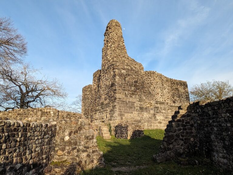 Alt-Regensberg Castle: A Medieval Noble Seat in Switzerland