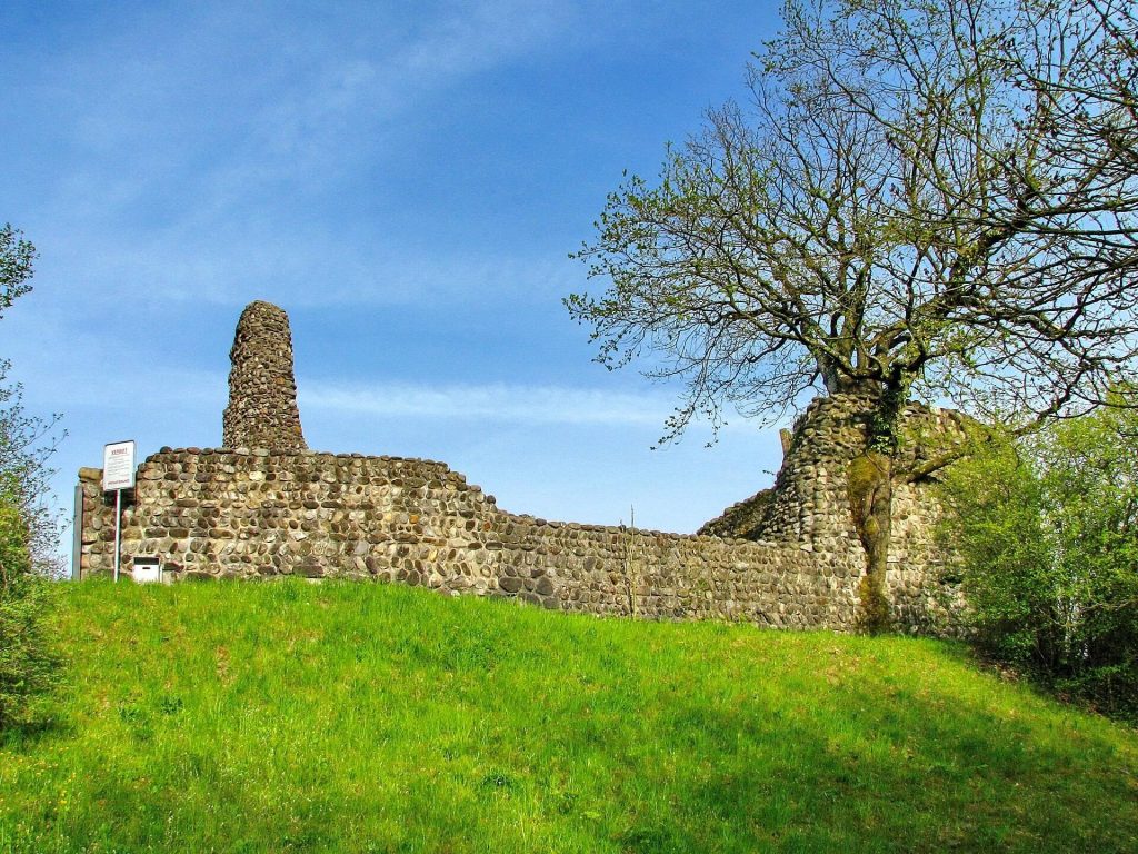 Alt-Regensberg Castle: A Medieval Noble Seat in Switzerland 1 Alt-Regensberg Castle