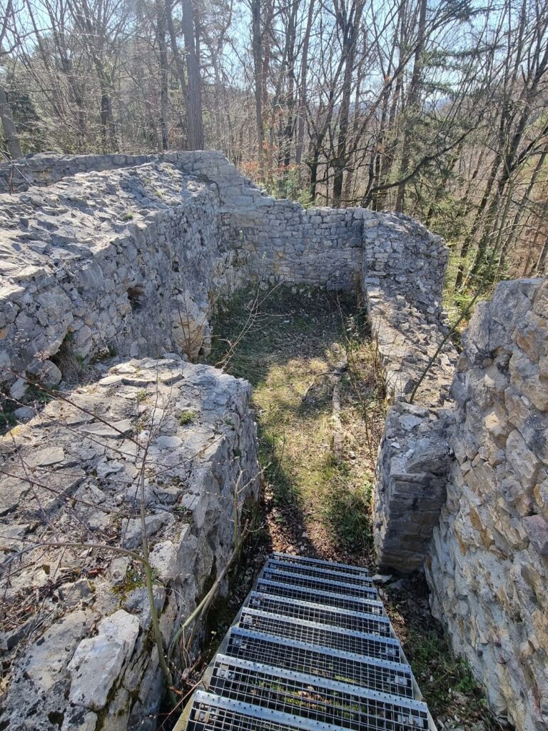 Scheidegg Castle Ruins: A Medieval Hill Castle in Switzerland