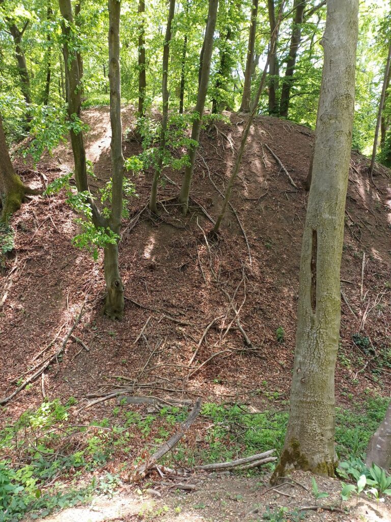 Burgstall Walleshausen: A High Medieval Motte Castle in Germany