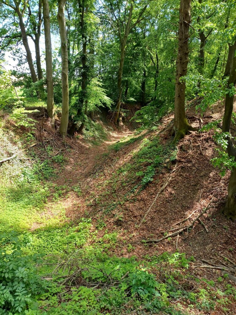 Burgstall Walleshausen: A High Medieval Motte Castle in Germany 2 Burgstall Walleshausen