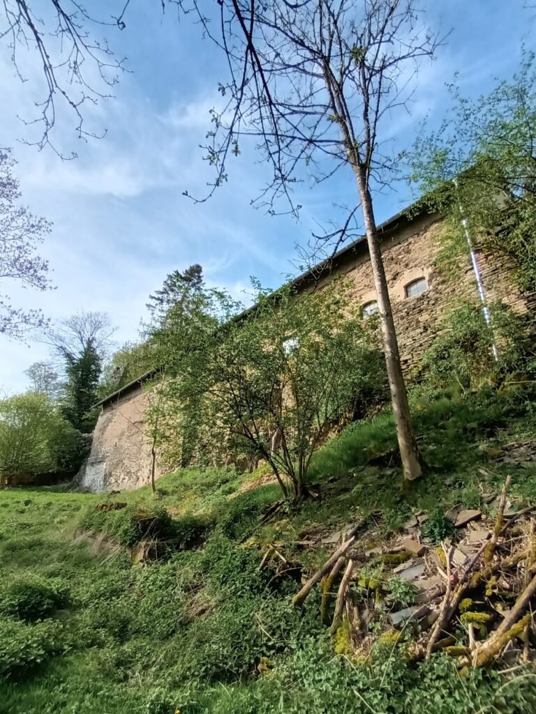 Burg Braunsberg: Ancestral Castle of the Counts of Wied in Germany
