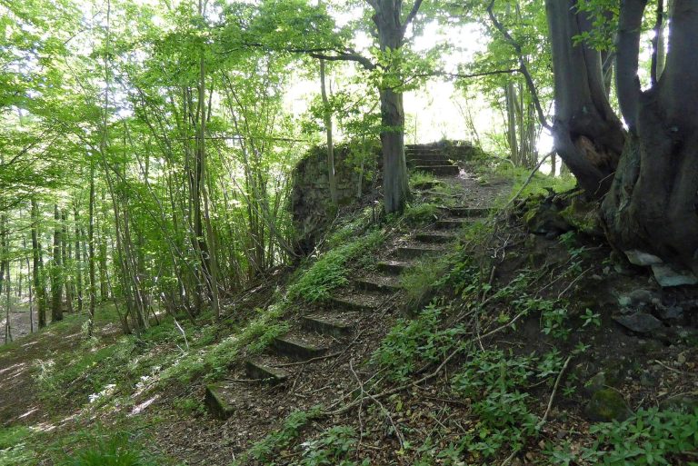 Burg Ziegenberg (Ziegenhagen): A Medieval Spur Castle in Germany