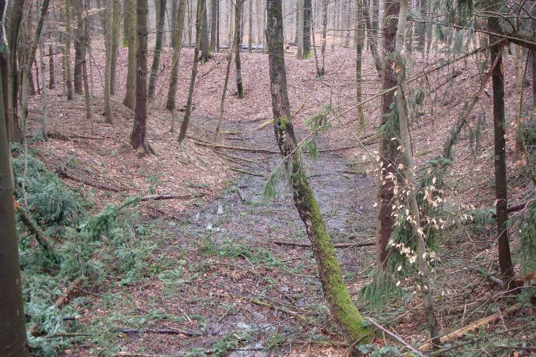 Röderburg: A Medieval Motte-and-Bailey Castle in Germany