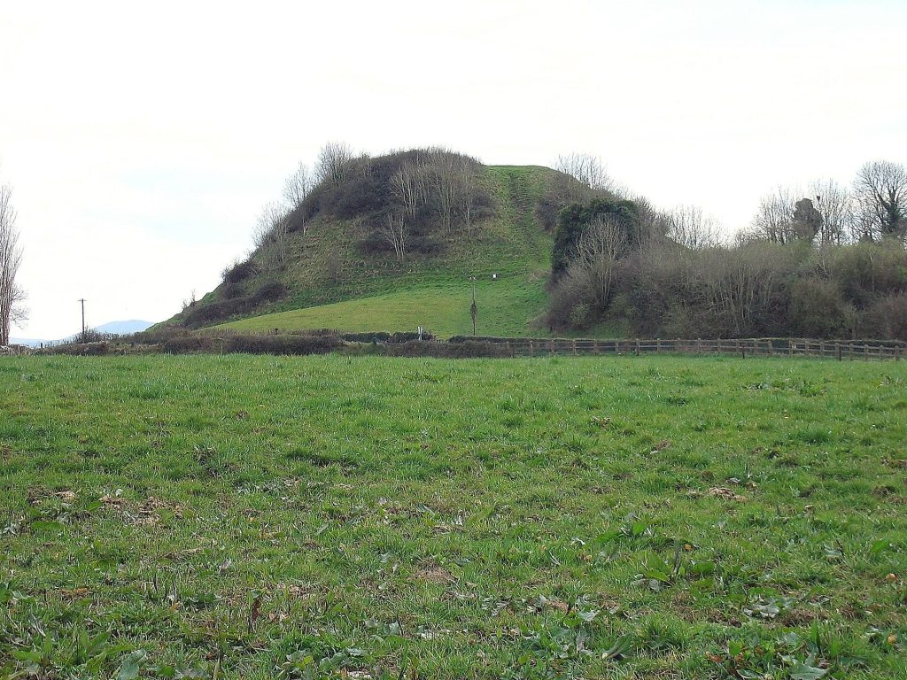 Knockgraffon Motte and Bailey: An Anglo-Norman Fortification in Ireland 2 Knockgraffon Motte and Bailey