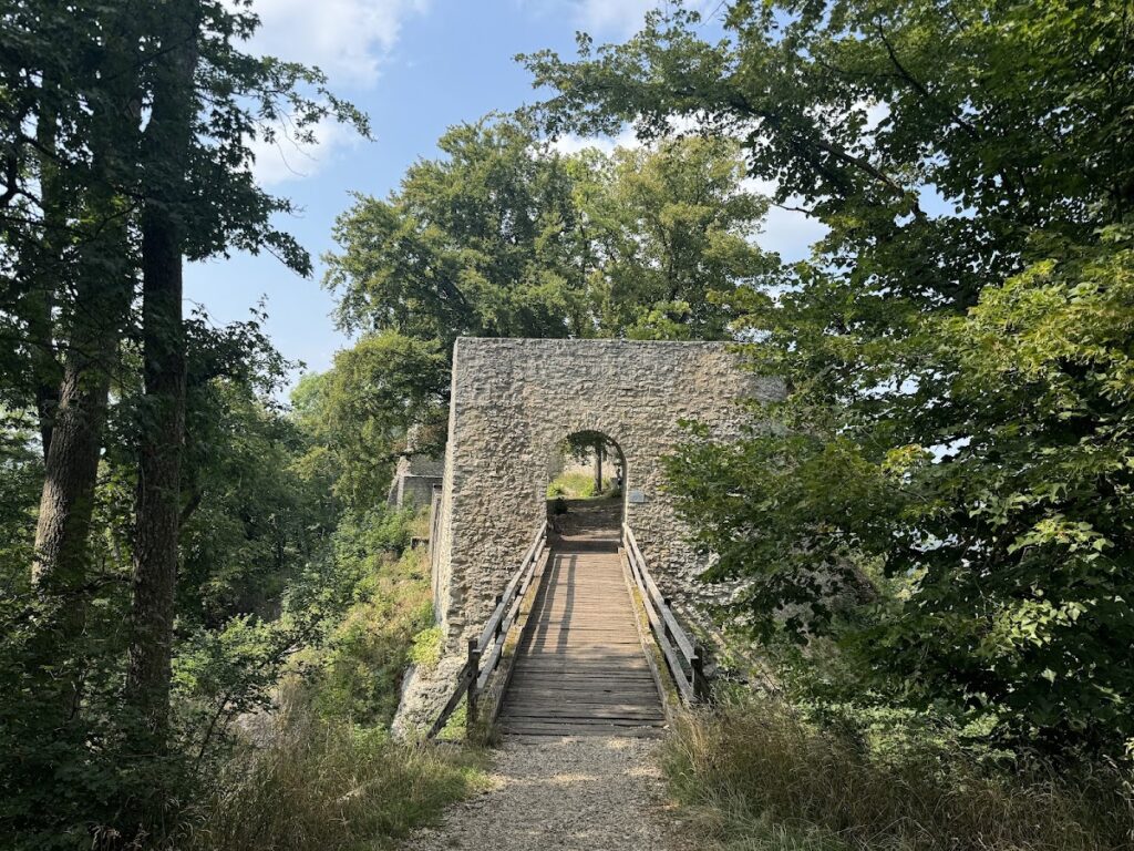 Ruine Diepoldsburg: A Medieval Double Castle in Germany 2 Ruine Diepoldsburg